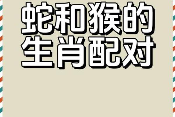 属牛和属蛇合不合 属牛属蛇配对可行吗