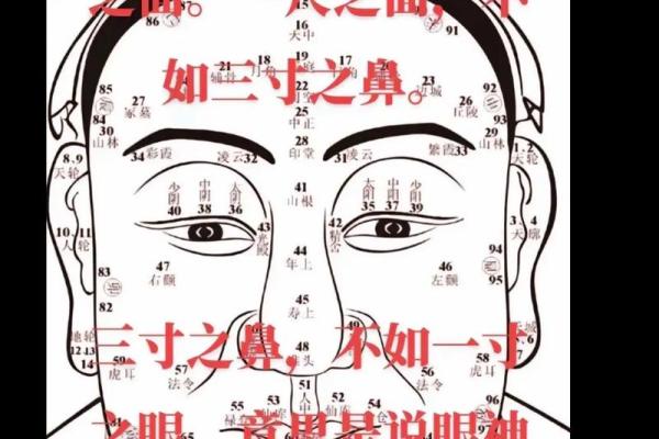 八字与墓地的关系，为你的命运带来不同的影响！