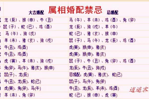 12生肖吉凶配对一览表