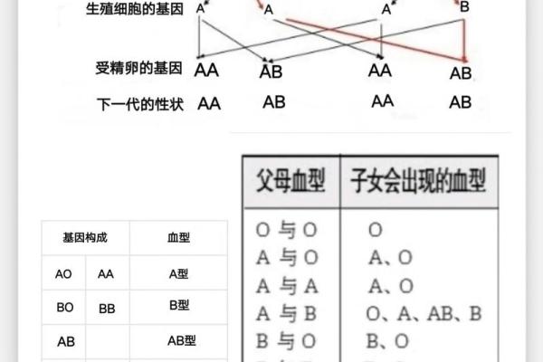 四种血型男的“性”情榜
