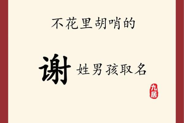 2019年3月19号亥时出生的男孩起名时要注意什么姓名