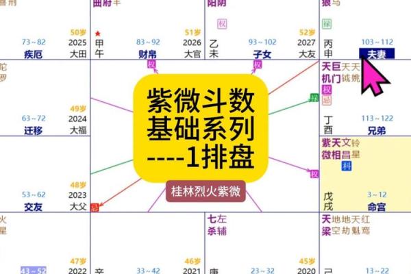 紫薇斗数亨利