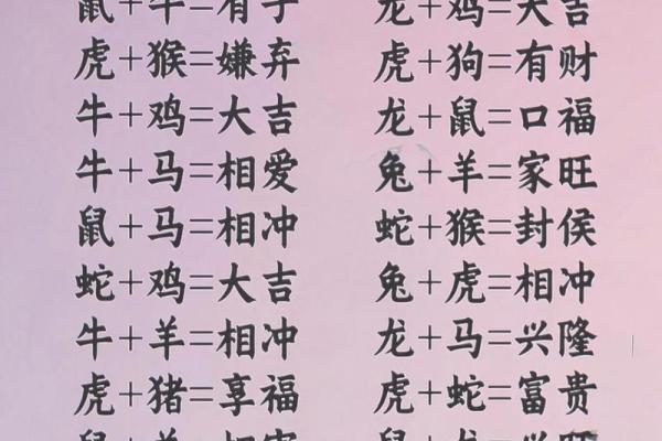 属龙姻缘配对