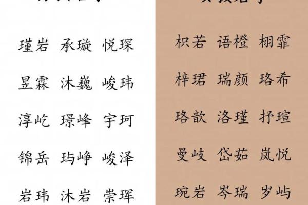 2019年5月28号寅时出生的男孩要怎么起名字姓名