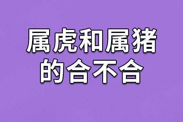 属猪和什么属相最配对 属猪和什么属相相冲