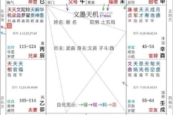 紫薇斗数子女成就