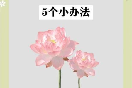 财运不好的风水，应该如何补救