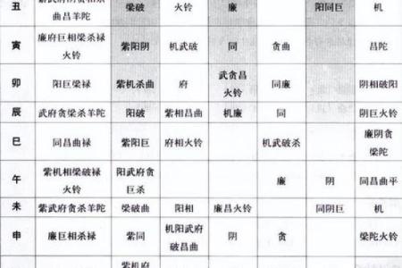 紫薇斗数48