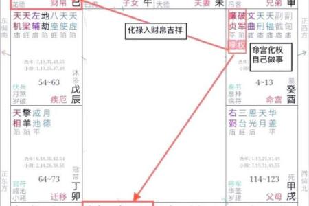 名人的紫薇斗数