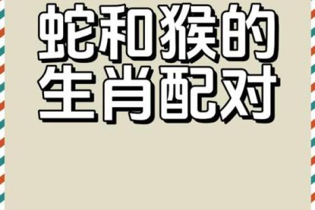 属牛和属蛇合不合 属牛属蛇配对可行吗