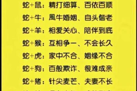 属蛇星座血型大揭秘，性格、缺点、优点全都讲解！