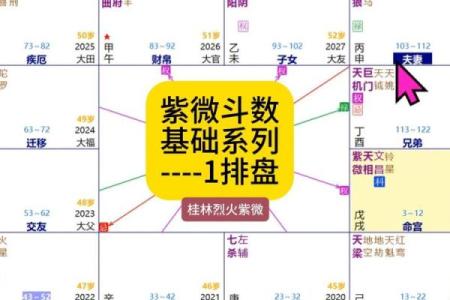 紫薇斗数亨利