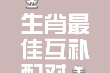 鼠跟什么生肖配对最好 生肖鼠最佳配对