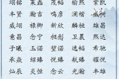 2019年5月28号寅时出生的男孩要怎么起名字姓名