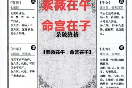 紫微斗数大限紫薇天相 紫微斗数大限排盘实验室？