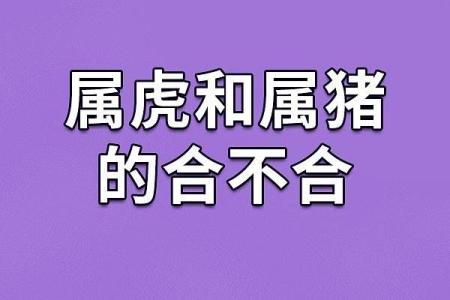 属猪和什么属相最配对 属猪和什么属相相冲