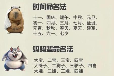 2018年男狗宝宝取什么名字最好？取名常用方法有哪些？-华易网姓名