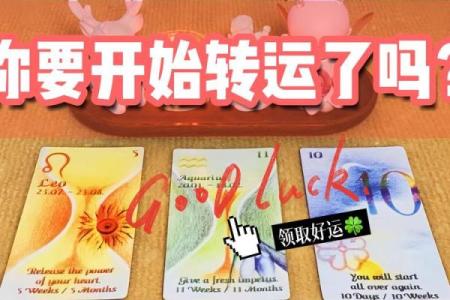 塔罗测试：今年你会走什么好运？