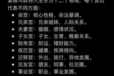 紫薇斗数子女成就