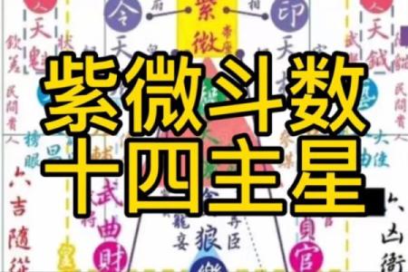 《紫微斗数》：分析官禄宫星耀对对一个人的运势财运