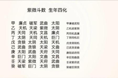 紫薇斗数性质