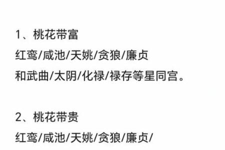 紫薇斗数廉贞星双星组合