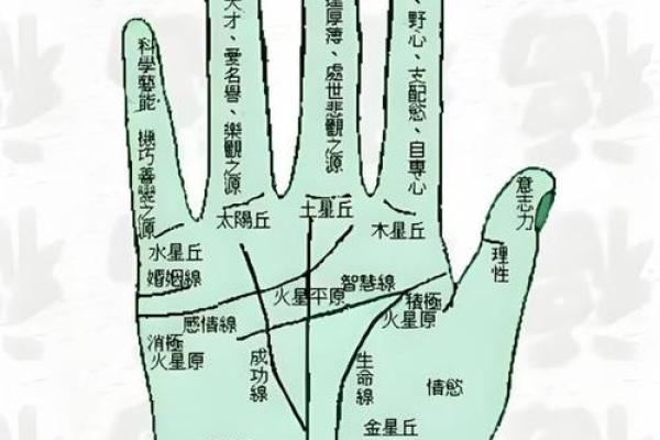 《手相学习百科》：掌脊纹