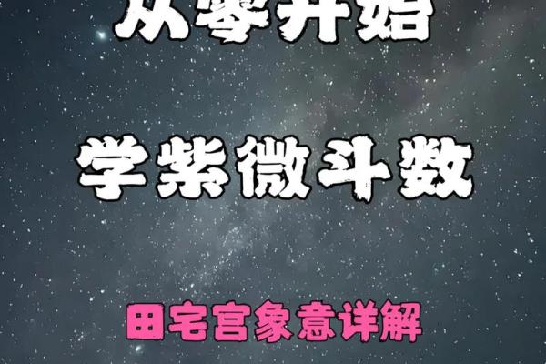 紫薇斗数小说