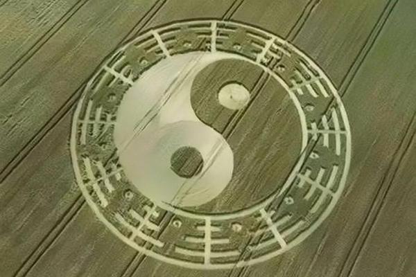 男人八字纯阳