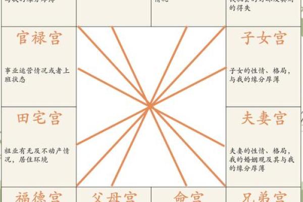 紫薇斗数左辅右弼代表男女