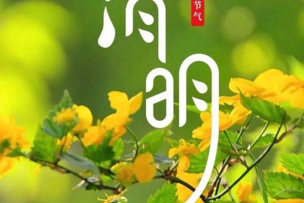 3月15日是什么节日