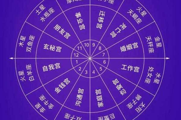 如何查看自己的星盘 个人星盘查询方法