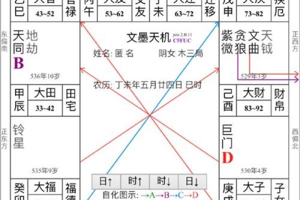 紫薇斗数巨富的条件