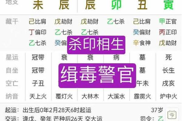 丙火的八字