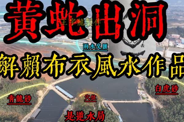 风水科普阴宅风水宝地什么意思