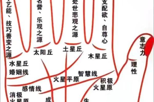《手相学习百科》：生命线