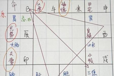 紫微斗数宫位基本概况、宫位推演（详解不外传，请收藏）