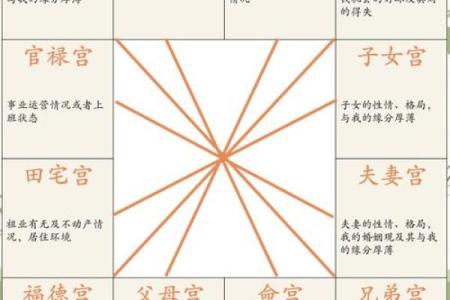 紫薇斗数左辅右弼代表男女