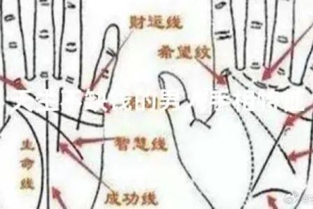 凯帝阿手相算命图解大全03