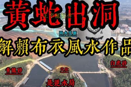 风水科普阴宅风水宝地什么意思