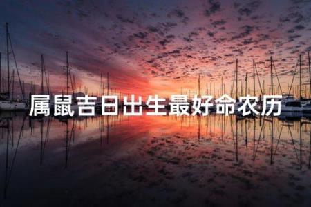 2024虎年属鼠开业什么日子好 最佳开业吉日精选