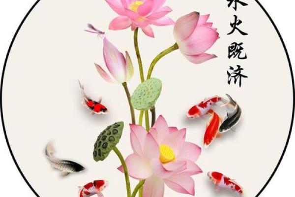 莲花玄关风水作用