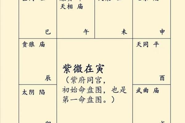 星空紫薇斗数