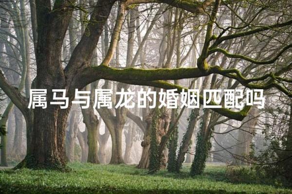 属龙男和属马女姻缘怎么样 属龙男和属马女配对好不好
