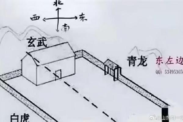 风水宝地下葬异象