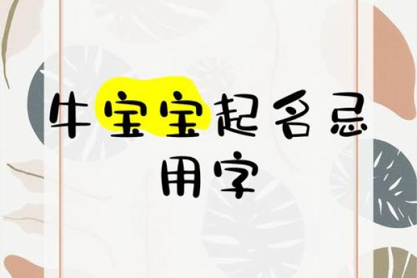 晚上1点出生的属牛男孩宜用什么字取名姓名