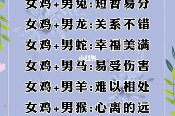 1996年属什么生肖配对 属相婚配表解析