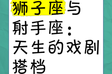 狮子座配对射手座的男生好吗