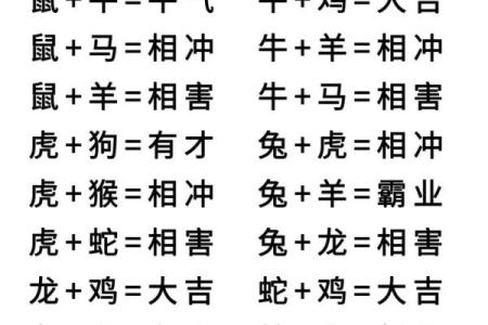 九四年属什么生肖婚配 九四年属什么生肖配对