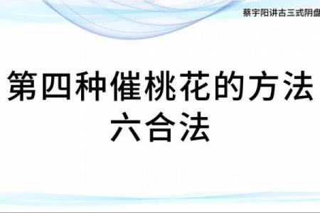 四大妙招，教你利用风水催桃花